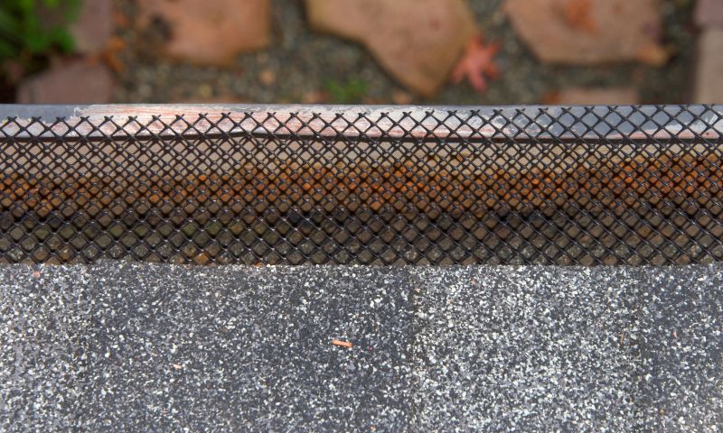 Seamless Gutter Protection